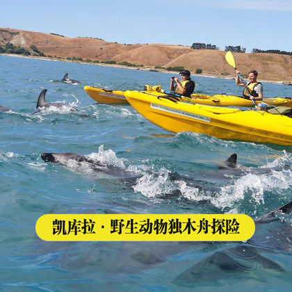 基督城+Seal Kayak Kaikoura一日游