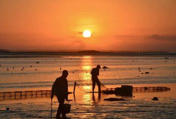 霞浦一日游【县城出发可选小团包车景点任选/看醉美日落海岸线】【私人定制的VIP包车服务，一对一服务，品质游玩，价格透明，家人般的接待2-6人精致小团专属服务】