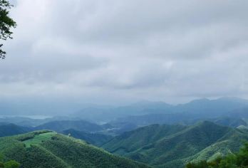 浙江湖州+莫干山采茶挖笋农家乐 包车|团建|C【[暖心服务]独立包车，省心出行，中文司机，行程可调】