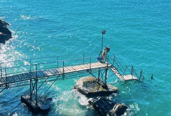 香港故宫文化博物馆+西九龙【7小时包车+向导，可自定义行程】【司机专业​：本地司机熟悉路况及景点，节省时间】