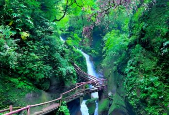 成都出发：青城山后+泰安古镇一日游（漫步青城，天下幽）【可选英文导游|专车接送|行程可调|可定制行程】