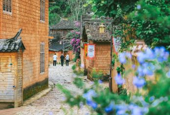 云南普洱那柯里村+小凹子咖啡庄园一日游【一单一团 上门接送】【[懒人悠游]睡醒再出发，无需赶起，精气神儿开启元气满满的一天；】