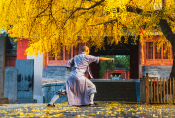 少林寺一日游◆2-8人轻奢小团＋上门接送＋导游讲解＋汉服换装【[精品小团]8人封顶，拒绝早起赶行程!安排商务车型让您更舒适，郑州洛阳均可出发】