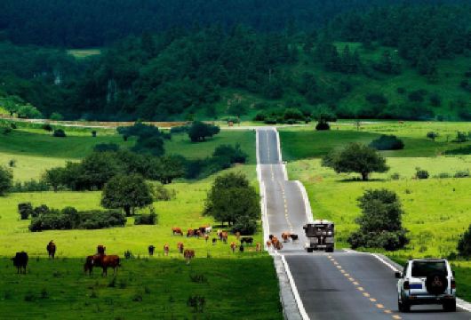 重庆武隆天生三桥+仙女山英文导游大团1日游【便捷交通直达景区，舒适大巴相伴，轻松畅享自然之旅】