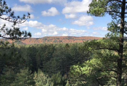 千岛群岛+斯卡堡悬崖一日私人专线【精品包车，私享空间，上门接送，轻松出行】