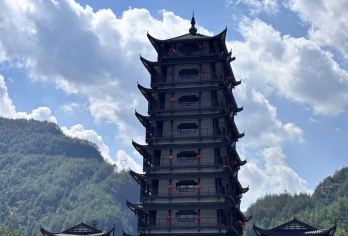 【8人·纯玩商务小团 】张家界国家森林公园一日游+上门接送【纯玩无购物，森林公园热门景点全打卡[黄石寨+金鞭溪+杨家界+袁家界+天子山+百龙天梯]】