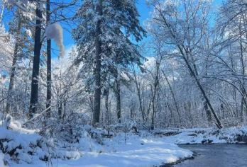 中国雪乡-二浪河漂流【『可选包车游』探秘狗熊岭，看雪松】【[沉浸体验]沉浸式感受林海雪原的静谧与壮阔，让人们忘却严寒，陶醉在无垠的雪海之中。】