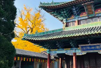 少林寺一日游【15人精品小团*资深导游讲解+接送＋汉服换装】【[福利保障]洛阳市主城区上门接送，拒绝早起赶行程，19座考斯特商务车型让您更舒适。】