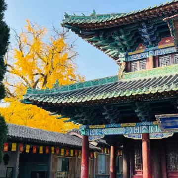 少林寺一日游【15人精品小团*导游讲解+耳麦+酒店接送】