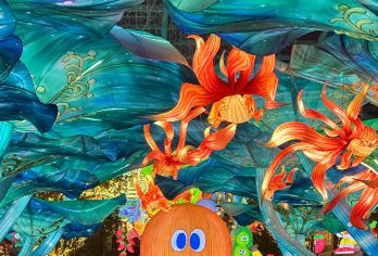 重庆出发自贡中华彩灯大世界一日游【景区直通车】【自由出行，当天往返】