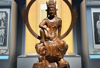 浙江省博物馆之江馆半日游【2-10人团+深度讲解】【[品质保障]优选商品，品质拒绝购物 、无自费】