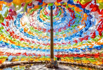 虎跳峡+白水台+哈巴观景台+大经幡8人小团纯玩一日游【[同款诠网亲民价]打卡东环线仙人田白水台+哈巴雪山观景台+上虎跳峡(香格里拉)+网红大经幡】