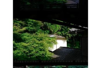 日本京都-琉璃光院-三千院-贵船神社-岚山-红叶巡礼/红叶季【专业行程定制，精选热门景点，高效游玩不走回头路，贴心服务保障，轻松】