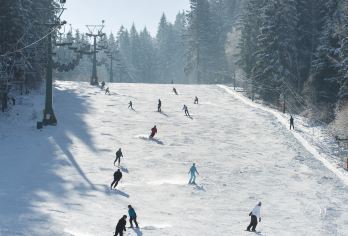 韩国伊利希安江村滑雪度假村+南怡岛 (首尔出发,含衣服课程)【景观滑雪双享｜上午畅游南怡岛林荫步道，下午前往滑雪场体验雪地魅力，景色与运动一次收获。】