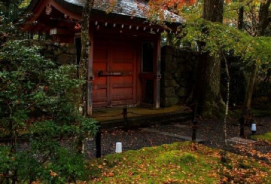 日本京都-琉璃光院-三千院-贵船神社-红叶满天 京都巡礼【专业行程定制，精选热门景点，高效游玩不走回头路，贴心服务保障，轻松】