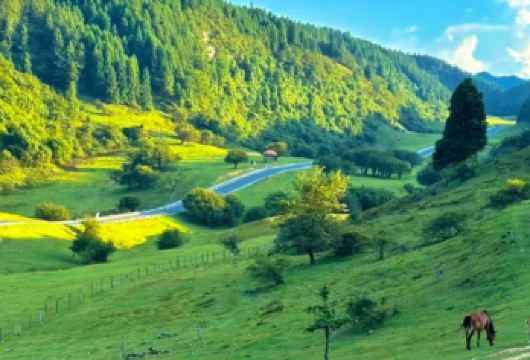 【8人小团】武隆天生三桥+仙女山森林公园+乌江画廊一日游【8人小团，上门接，纯玩无购物，服务不满意全额退款】