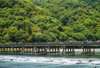 岚山+伏见稻荷大社+清水寺一日游【门票全含 | 保证绿牌正规营运车辆，安全合法，拒绝白牌无证违法车辆】