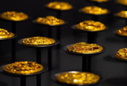 【含门票景区往返交通】猩咖说海昏侯博物馆拼/包团大咖讲解【[大咖讲师]文史大咖深度讲解海昏侯，全程精华讲解，拒绝走马观花】