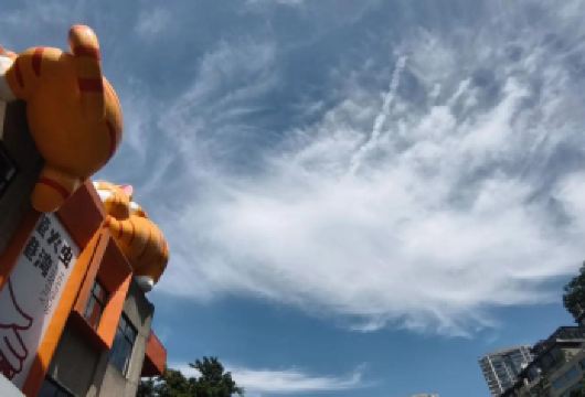 【重庆南滨路一日游】萤火虫猫猫公园+下浩里+龙门浩+长江索道【专车上门接送，直达景区无需换乘，线路可私人订制。】