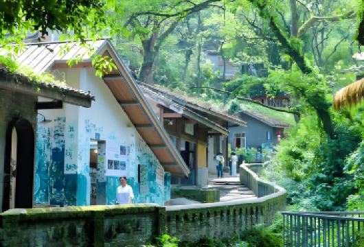 北碚缙云山 +黛湖 +金刚碑包车一日游【专车接送】【包车出行灵活高效，路线顺行不绕路，随走随停，充分预留拍照与游玩时间。】