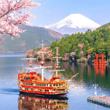 箱根+大涌谷一日游:赠箱根空中缆车丨山中湖+芦之湖双湖之旅