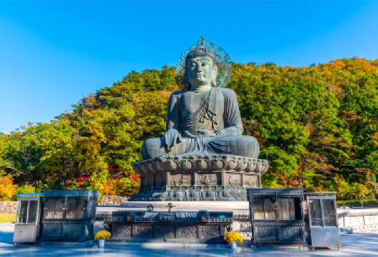 【探索自然之美】雪岳山 & 洛山寺一日游+赠乐天免税店优惠券【探索自然之美：走访雪岳山与洛山寺，饱览韩国壮丽的自然风光】