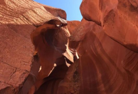 美国拉斯维加斯-下羚羊谷-鲍威尔湖-马蹄湾-私享行美西老司机【专业行程定制，精选热门景点，高效游玩不走回头路，贴心服务保障，轻松】