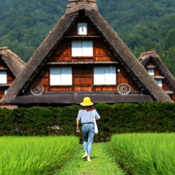 【韩语导游/单人出发】名古屋三大景点：白川乡、高山、郡上八幡一日游