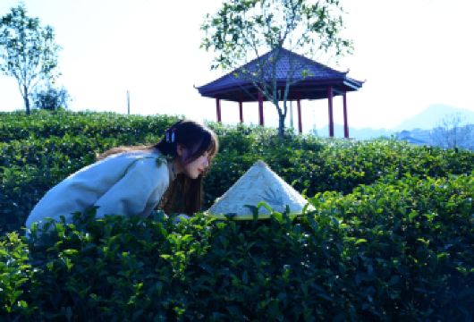 【保证有竹筏+度假区酒店接送】武夷山主景+九曲溪竹筏一日游【游武夷精华线路，九曲溪竹筏漂流，保证有竹筏，度假区内酒店接送。】