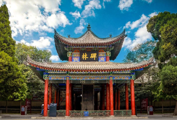 西安碑林+钟鼓楼广场+小雁塔+大雁塔+大唐不夜城【古韵之旅】【中文包车，定制服务，安心自由】