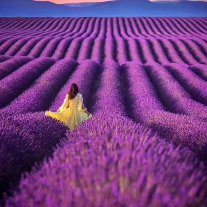 普罗旺斯特色小镇+索村+红土城+塞南克修道院/浪漫薰衣草之都