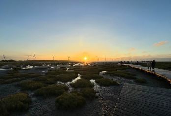 台中中社花市+宫原眼科+高美湿地日游【台北西门出发】赠冰【伴随着浪漫的夕阳落下，漫步在生态丰富的高美湿地】