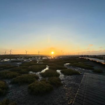 台中高美湿地+中社花市+宫原眼科【赠冰淇淋｜台北西门出发】