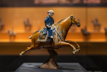 西安博物院+小雁塔半日游【25人团-多场次-深度纯玩讲解】【[本地旅行社]本土专业讲师，5-10年讲解经验，知识渊博趣味横生，专注品质；】