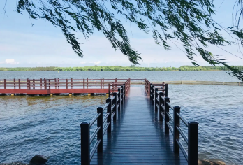 西沙明珠湖景区【上海周边休闲一日游】【私人包车服务，行程灵活，不拼团，私密性强】