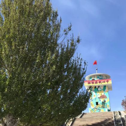 G219线小白杨哨所/阿拉山口口岸一日游【6人以下小团】