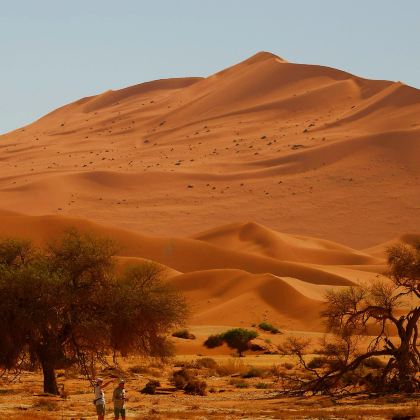 纳米比亚&苏丝斯黎【包车一日游】经典沙海奇观一日游 