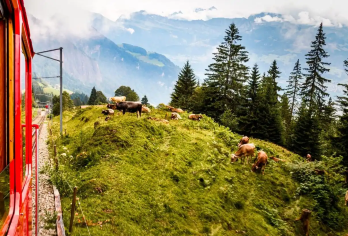 苏黎世瑞吉山湖光山色一日游，领略自然艺术之美【瑞士自然艺术之旅｜10小时中文包车&上门接送｜行程可调整，深度游览】
