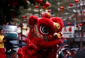 硇洲岛+东海岛包车一日游|含船票+门票+观光车+司导陪同登岛【双岛奇缘一日游，赶海探火山乐无忧。全天10小时包车服务】