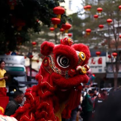 湛江硇洲岛+东海岛包车一日游|含船票+门票+观光车+陪同登岛