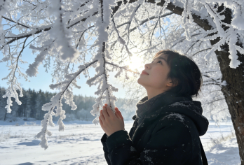 赏雾凇+滑雪+陨石博物馆一日游【雪圈体验|陨石伴手礼】【赏雾凇玩雪圈，全家轻松享受雪趣】