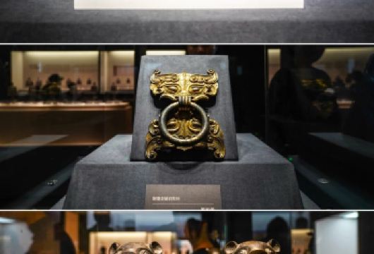 上海闵行博物馆/1.5小时大咖精讲/|丝路回响特展【[全程讲解]上海闵行博物馆1.5H ：探索自然与科技的核心叙事】