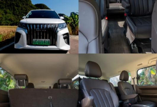 2-8人拼团|私家团包车|南宁崇左可起止｜花山岩画+白头叶猴【拒绝推销 拒绝购物 专注当地人吃喝玩乐】