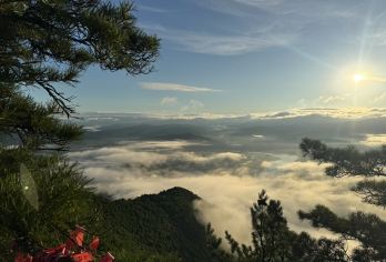「6人封顶拼小团」汤旺河石林+鹿溪牧场+溪水公园一日游【畅游小兴安岭原始森林，远离都市喧嚣，纵情22°避暑胜地】