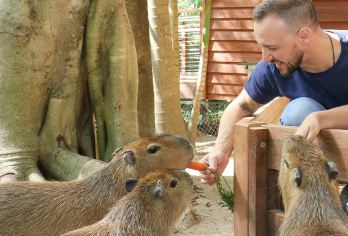 可伦宾野生动物保护园+热带水果园+伯利角国家公园+鲷鱼岩※【从动物保育到地质奇观，一天读懂黄金海岸「四维自然密码」】