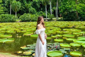 中科院西双版纳热带植物园+傣族园一日游【一单一团/出行无忧】【[优质交通] 一单一团，独立操作，专职司机、安全可靠，出行无忧】