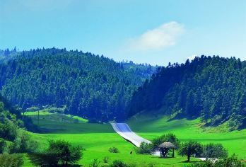 重庆武隆天生三桥+仙女山+乌江画廊一日游 8人纯玩小团上门接【纯玩无购物，8人内拼车小团，商圈酒店上门接，不用自行前往集合】