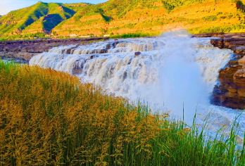 【3至8人团】陕西延安南泥湾+陕西黄河壶口瀑布+黄帝陵一日游【[品质保障]纯玩无购物，保证不进任何形式购物店】