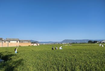 大理苍山（感通索道）+喜洲+花语牧场+三塔一日游【8人小团】【8人内商务小团，个性化定制游玩体验，夫妻蜜月/家庭/公司商务出行力荐产品；】