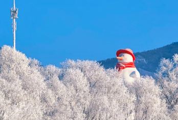 长春出发雾凇岛一日游【上门接送+乌拉火锅+精致小团】【长春市内上门接送，一站直达方便更快捷】